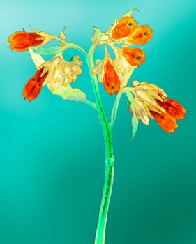 F 057F